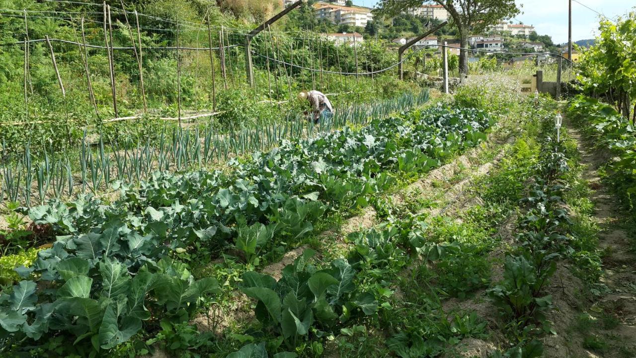 Verde Agua Agroturismo E Agricultura Biologica Couto Екстер'єр фото