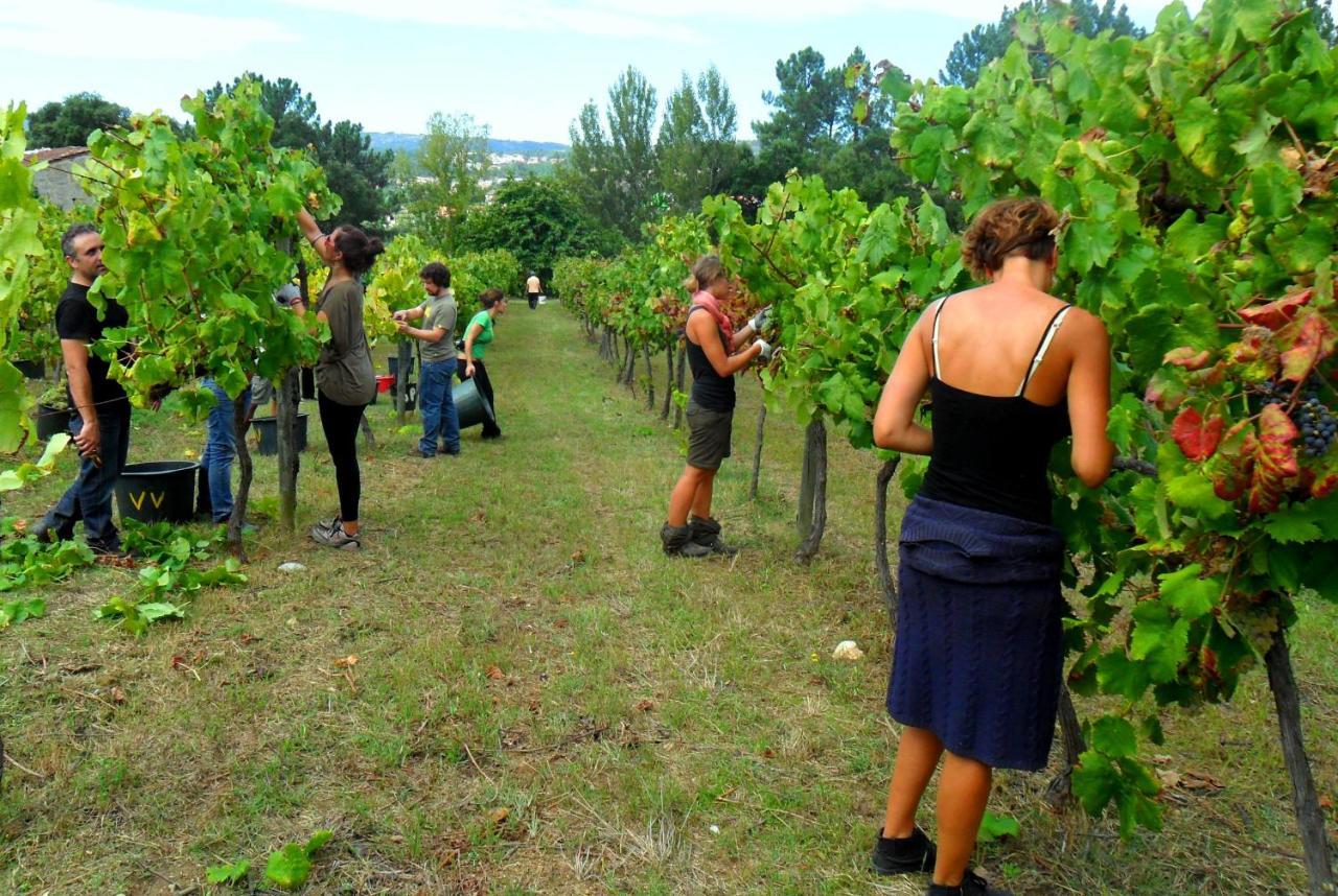 Verde Agua Agroturismo E Agricultura Biologica Couto Екстер'єр фото
