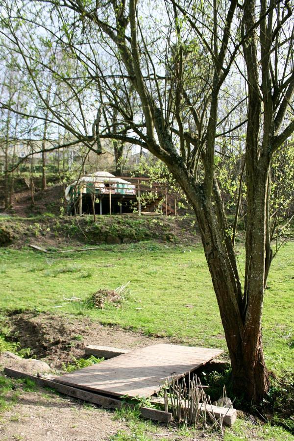 Verde Agua Agroturismo E Agricultura Biologica Couto Екстер'єр фото